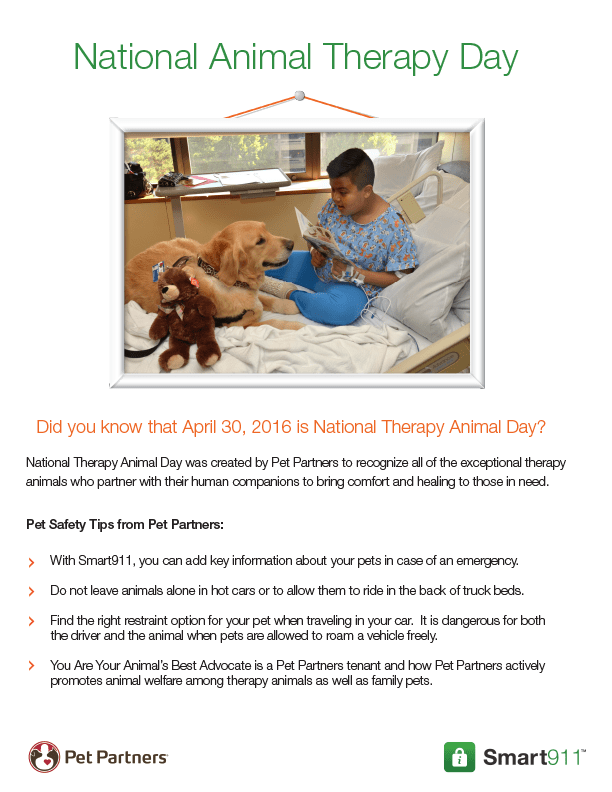 National Therapy Animal Day