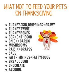 are turkey bad for dogs