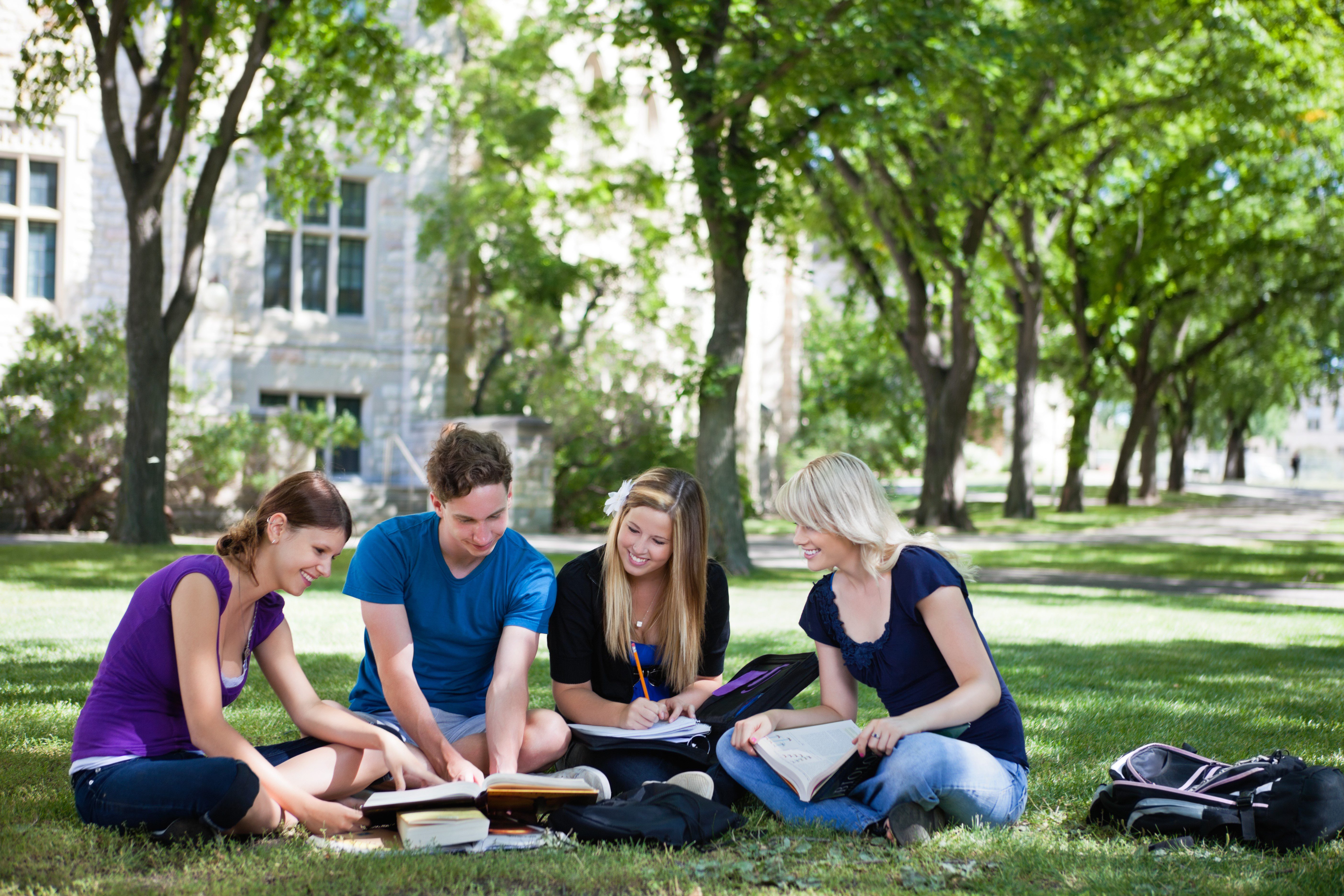 College students studying in circle
