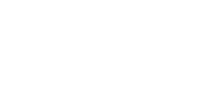 city of new orleans logo white