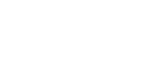 nola-white city of new orleans logo white