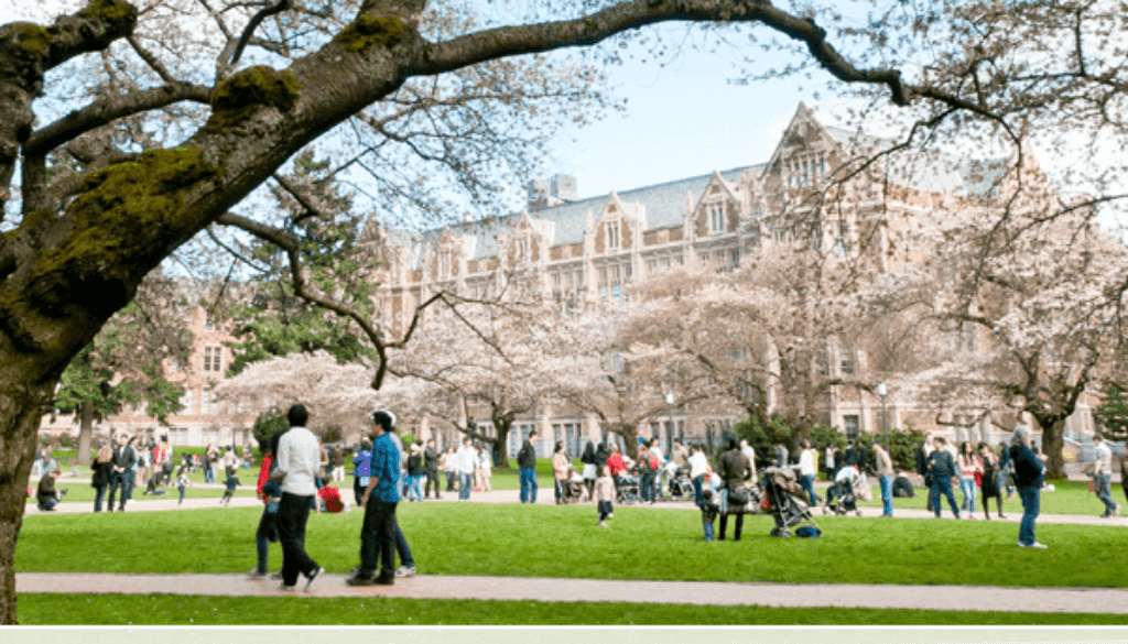 college campus quad