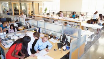 office with employees at work in cubicles