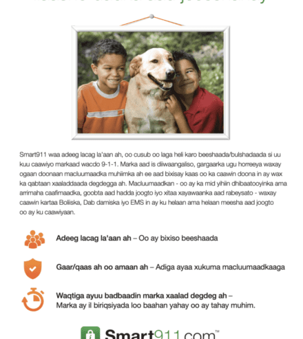 smart911-somali-family-2-flyer-preview smart911 somali family flyer resource preview