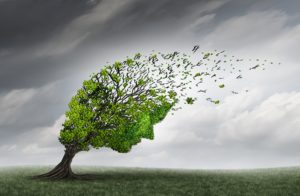 tree blowing away in wind
