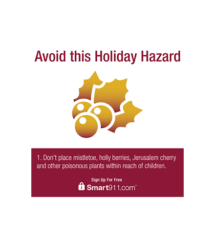 smart911 holiday safety keep poisonous plants away from children