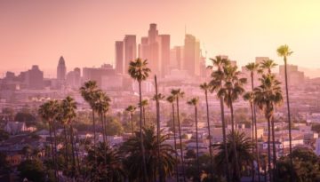 skyline in california with palm trees