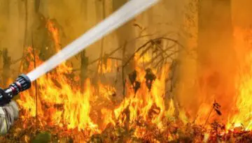 fireman spraying water onto wildfire