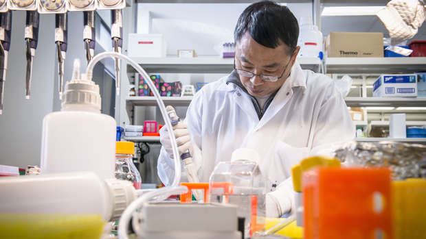 AstraZeneca lab researcher working 