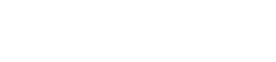 rave-summit-series-white-logo rave summit series white logo